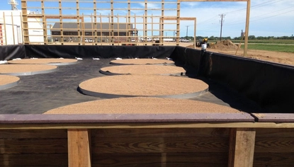Wooden rings sit on a black tarp, which is enclosed in a wooden fenced-off rectangle. A building frame sits behind the wooden rings and their enclosure.